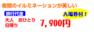 夜間のイルミネーションが美しい