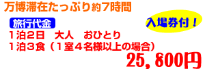 万博滞在たっぷり約7時間